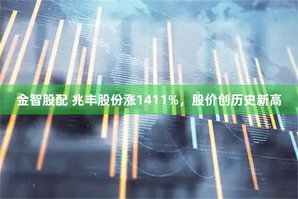 金智股配 兆丰股份涨1411%，股价创历史新高