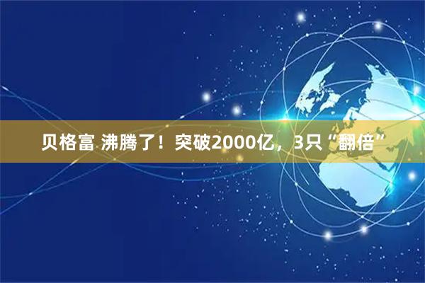 贝格富 沸腾了！突破2000亿，3只“翻倍”