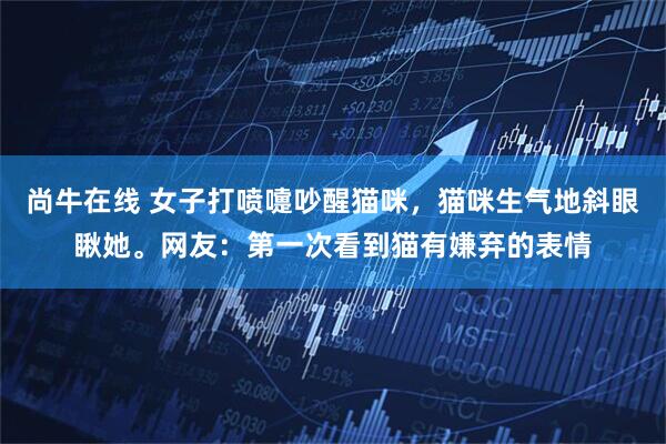 尚牛在线 女子打喷嚏吵醒猫咪，猫咪生气地斜眼瞅她。网友：第一次看到猫有嫌弃的表情