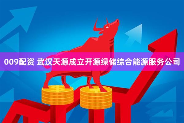 009配资 武汉天源成立开源绿储综合能源服务公司